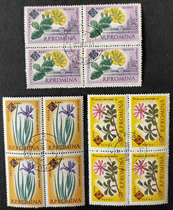 ROMANIA. 1961. FLORA. FLOWERS. IRISES. CACTI. 3 BLOCKS OF FOUR. LOT IN GERMANY