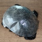 Bild 7 von 19