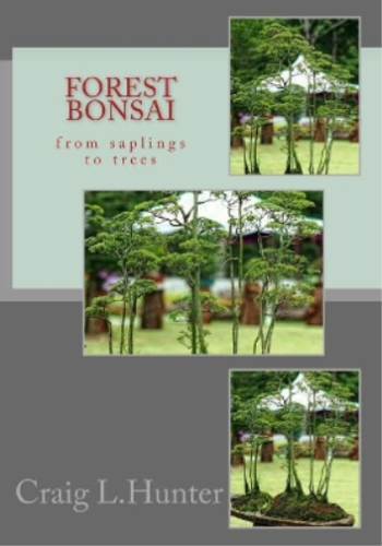 Craig L Hunter Forest Bonsai (Paperback) (UK IMPORT) - Picture 1 of 1