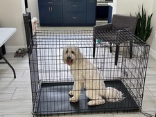 48 Inch Dog Crates for Large Dogs Folding Metal Wire Crates Dog Kennels Outdoor