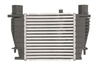 Thermotec LadeluftküHler DA1003TT Passend FüR Nissan Renault