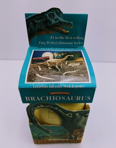 Tiny Perfect Dinosaur Series, BRACHIOSAURUS, Poster Libro Modello Uovo Fossilizzato - Foto 11 di 12