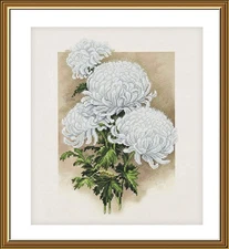 Creative Сross Stitch Embroidery Kit "White chrysanthemum" Nova Sloboda