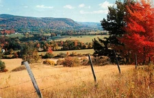 Vintage Oneonta NY Susquehanna River Valley View Franklin Mountain Postcard