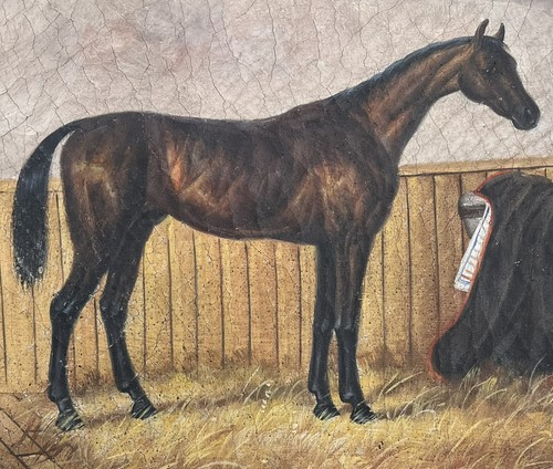 Antikes Ölgemälde - Vollblutpferd, neu gefüttert, Wurzelholzrahmen, 16"x14" - Bild 9 von 9