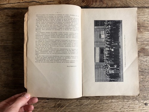 1er congrès international de la vigne et du vin. Bordeaux Imprimerie Delmas 1929 - Picture 10 of 20