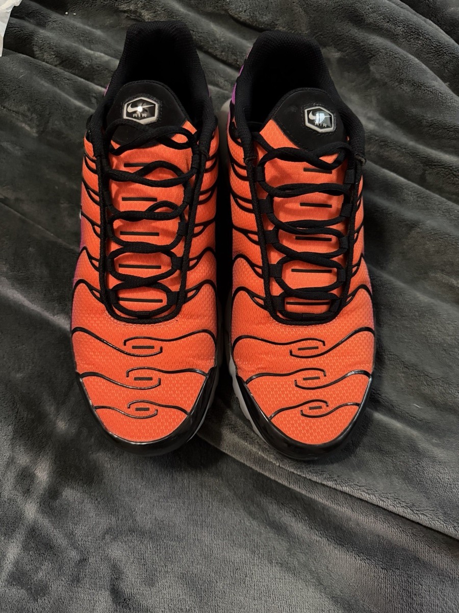 Nike Air Max Plus  display picture 3