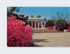 Postcard Azalea Time in Soldiers' and Sailors' Memorial Park Mobile Alabama USA