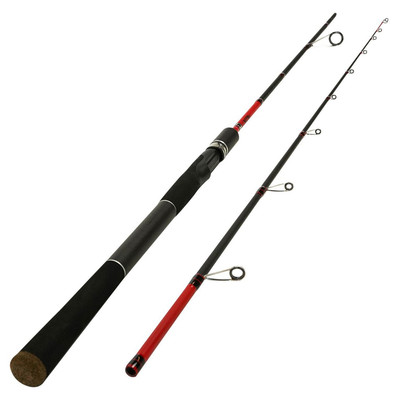 DTL Goliath X-Spin Spinnrute 2.10m 10-40g 2-teilig Steckrute Raubfisch Rute