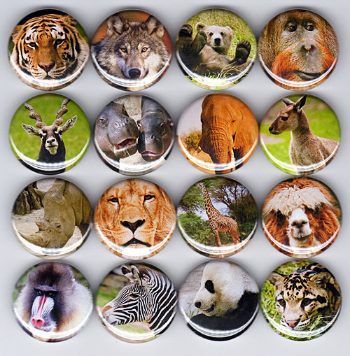 WILD ANIMALS button set lion tiger bear panda wolf zebra elephant giraffe zoo