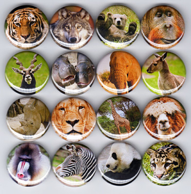 WILD ANIMALS button set lion tiger bear panda wolf zebra elephant giraffe zoo
