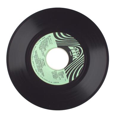 Young & Company - On Fire; Go Back Home - Vinyl Record 45 RPM 7''