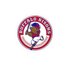 Buffalo Bisons Kiss-Cut Vinyl Decals  Sports Fan Stickers, Team Spirit, Laptop