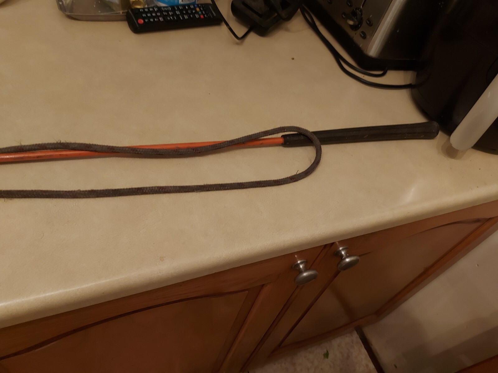 natural horsemanship Whip( Carrot Stick). eBay