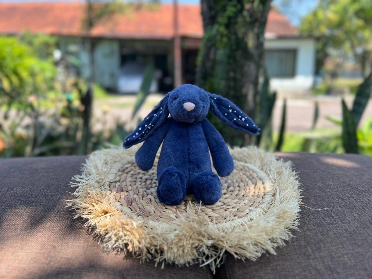 Jellycat Stardust Bashful Bunny Small Navy Plush Soft Toy NWOT