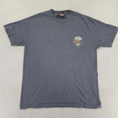 Harley Davidson Shirt Mens Large Gray Chattanooga Tennessee Eagle Lightning Moto