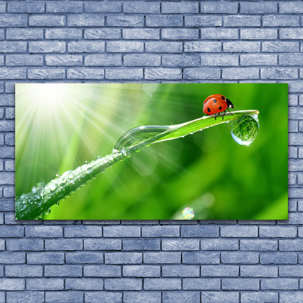 Photo sur toile herbe et soleil pour décoration murale de salon zen
