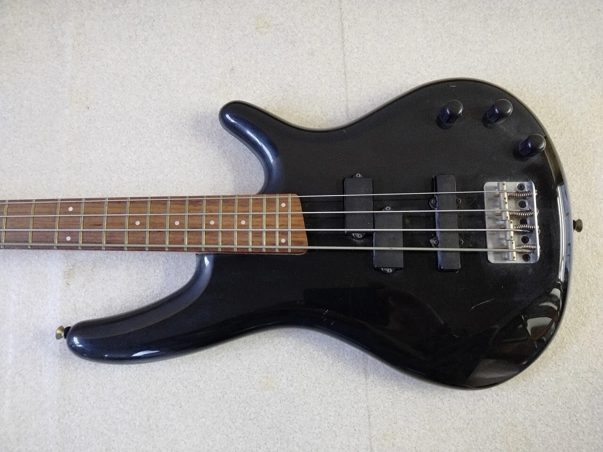 Ibanez sdgr clearance