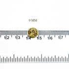 Bild 14 von 26