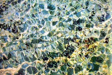 18 x 12 Accent Colorful Art Mural Ceramic Backsplash Bath Tile #882