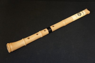 Japanese Traditional Flute Shakuhachi YUU Resin Made World Music Japan NEW