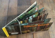 Panoramic The California Redwoods Photo Album Ten Vintage Postcard