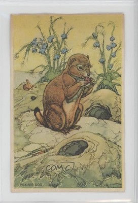1950s Bell Bread Animals Recipe Cards Prairie Dog n1u