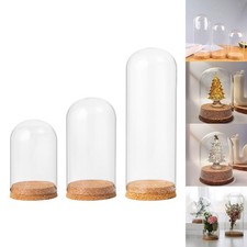 Cloche Bell Jar Display Dome Case Dome Cloche Cover Cloche Jar with Wood Base