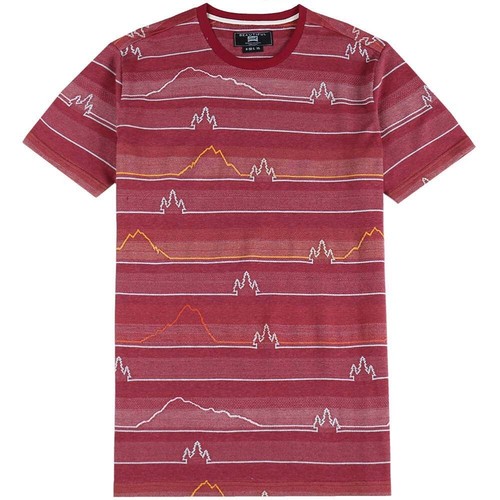 Men's Striped T-Shirt Collection - Comfortable Cotton Tees, Variety of Colors - Picture 5 of 8