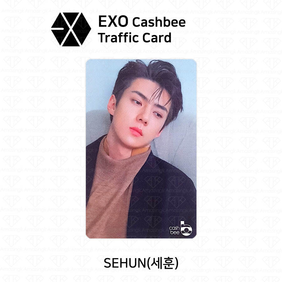 EXO Official Cashbee Transportation Card Photocard KPOP Baekhyun