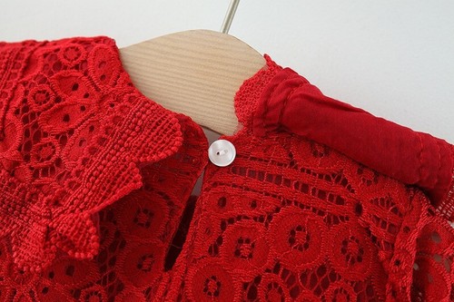 NEW Toddler Baby Girl Fall Winter Long Sleeve Lace Dress Party Princess Dress - Picture 10 of 14