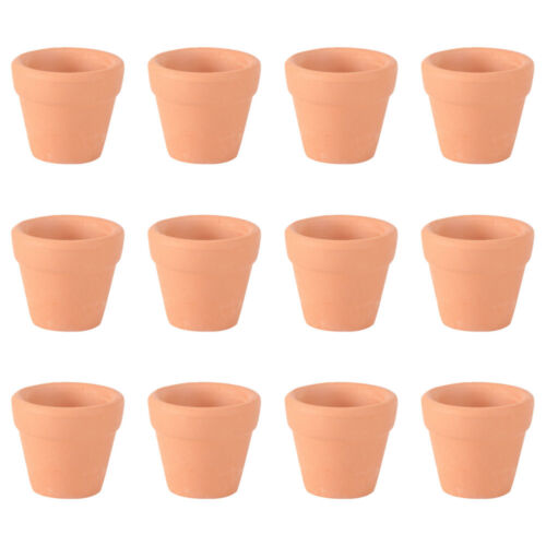 Tiny Plant Pots Flower Pots Outside Small Clay Flower Pots Garden Daffodils Pot