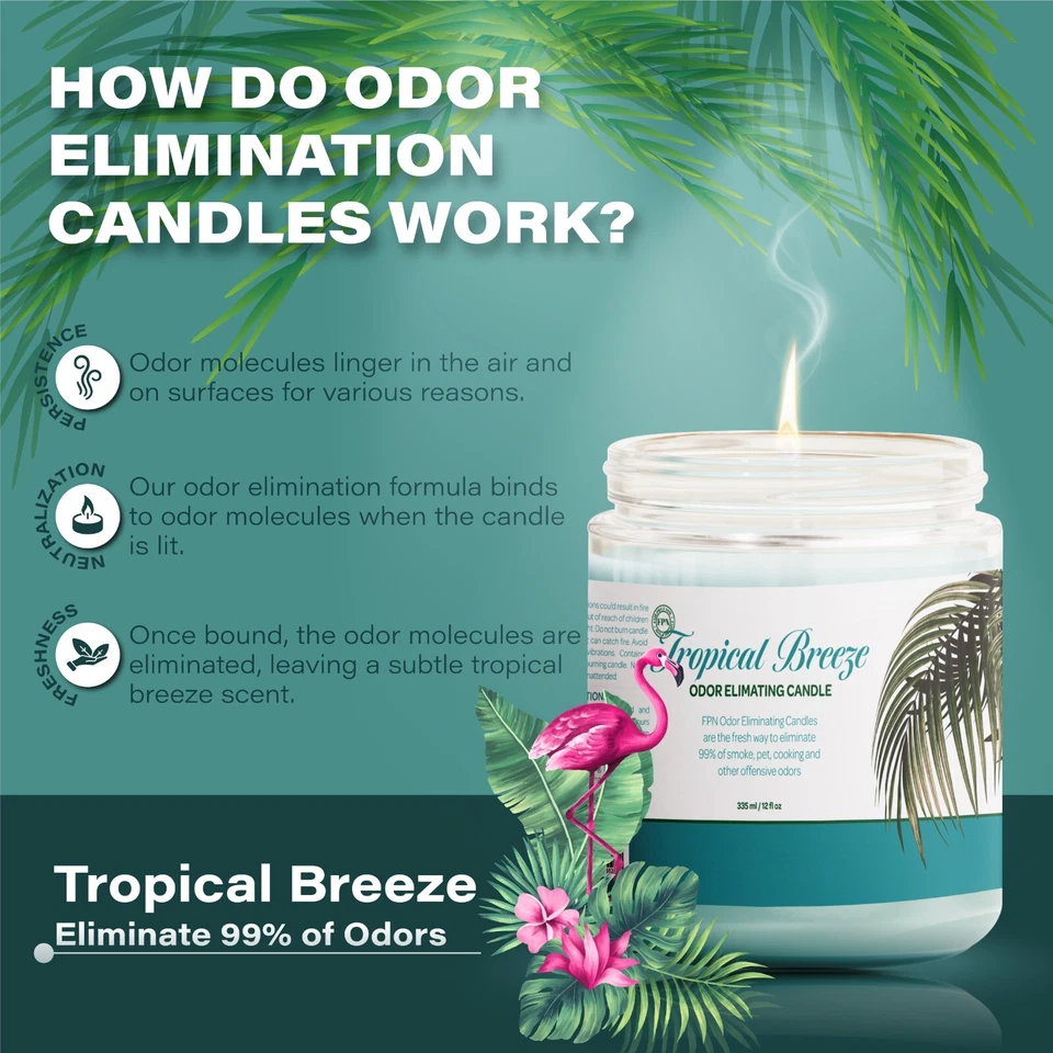 Velas perfumadas FPN brisa tropical humo olor exterminador cera de soja 12 oz x 2 quilates Foto 2 de 4