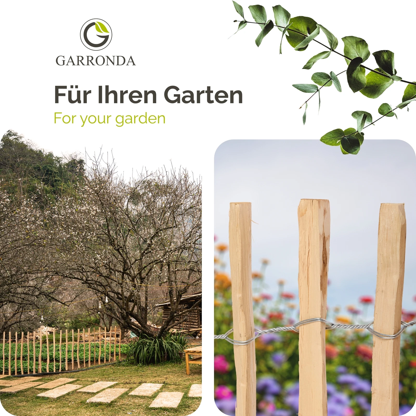 Bild 12 von 47
