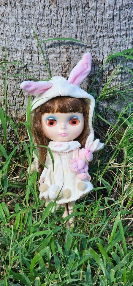 Muñeca Neo Blythe Auténtica Usada Terciopelo Minueto ROK-EX (SBL) Coreana Limitada 2004 Foto 2 de 4