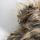 Bild 5 von 18