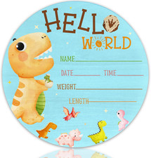 Baby Announcement Sign with Name  Stats - Hello World Newborn Hospital Keepsake