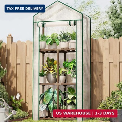 Bamworld 23 x 17 x 54-Inch Mini Greenhouses for Outdoors Portable Green House wi