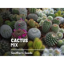 Cactus Mix Seeds, Heirloom Cacti Succulents, Drought Tolerant, USA Grown
