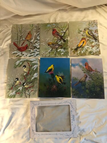 Menge 6 Vintage Vogeldrucke O.J. "Gromme / Joan Beringer & More 11 x 8,5" - Bild 2 von 12