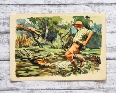 Jim Fußbank Krokodil Sanella Bild 46 Sammelwerk Australien Reklame alt Werbung