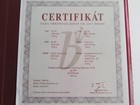 Foto 10 di 10