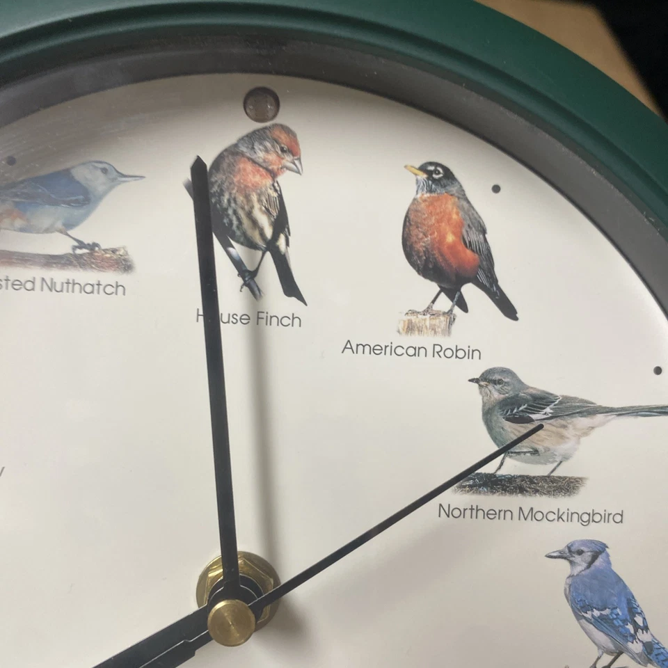 Bird Clock Small 8” Hunter Green Color Makes Bird Sounds Tested Works - Image 3 of 4