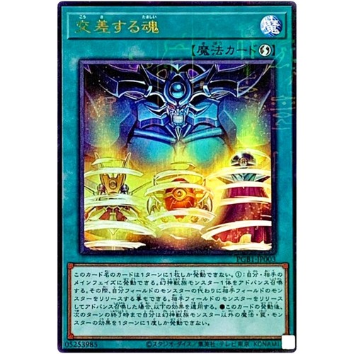 DIVINE CROSS 大会上位プロモ 死のループ 乃愛 2024 Divine