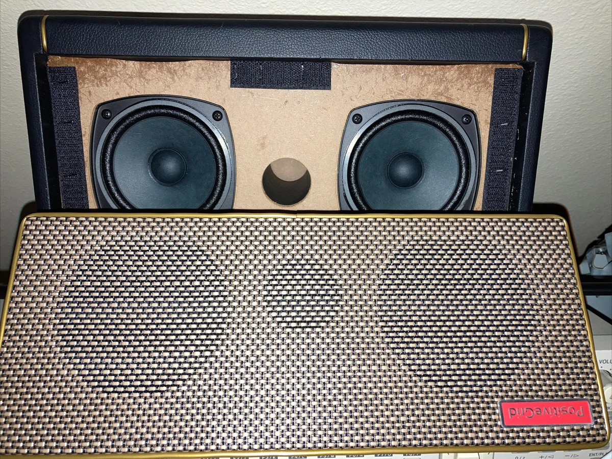 Positive Grid Spark 40 Guitar Amp Speaker Cabinet Only - Guitar