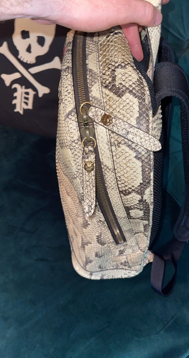 GUCCI 442892 Python Leather And Red and Green Web Stripe