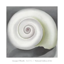 Shell No. I, 1928 by Georgia O'Keeffe Art Print Beach Coastal Ocean Poster 20x20