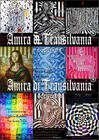 Imagen 8 de 24