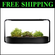 Self-Watering Microgreens Kit with 3 Organic ...