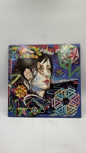 Todd Rundgren ~ A Wizard A True Star 1973 Gatefold Vinyl LP - Picture 9 of 19